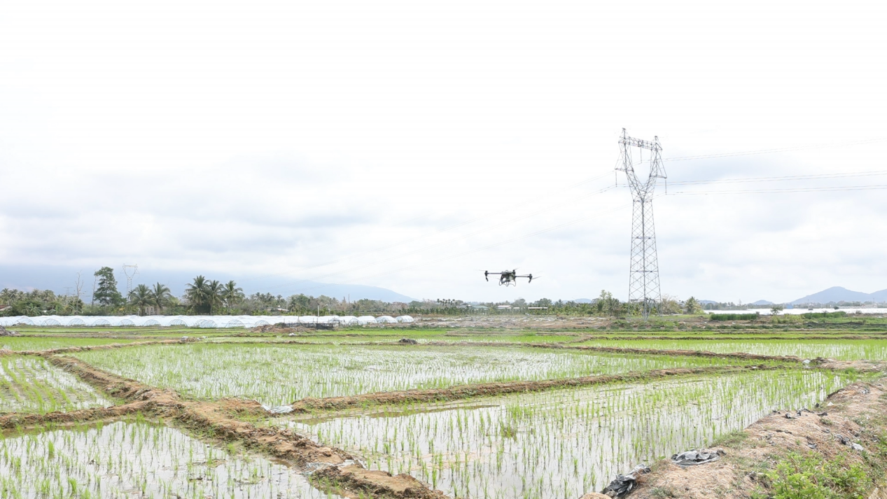 图片5.png 图片5.png