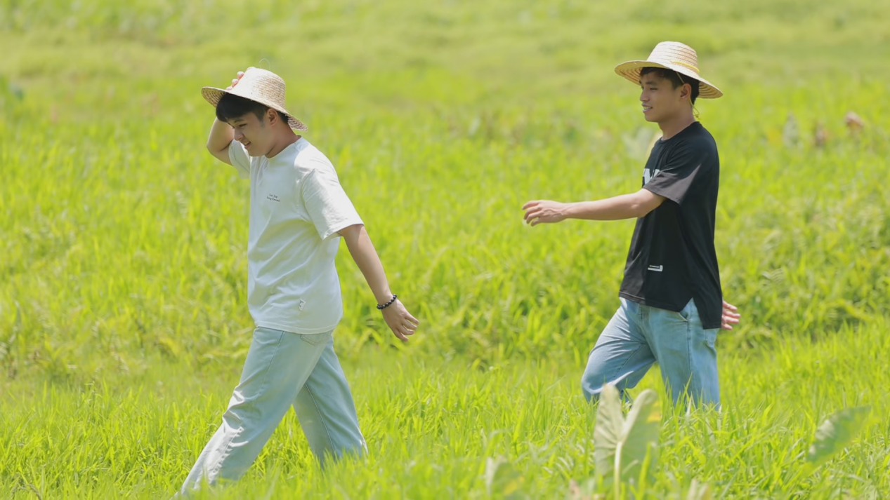 图片3.png 图片3.png