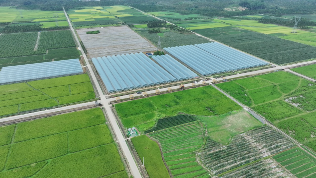 图片6.png 图片6.png