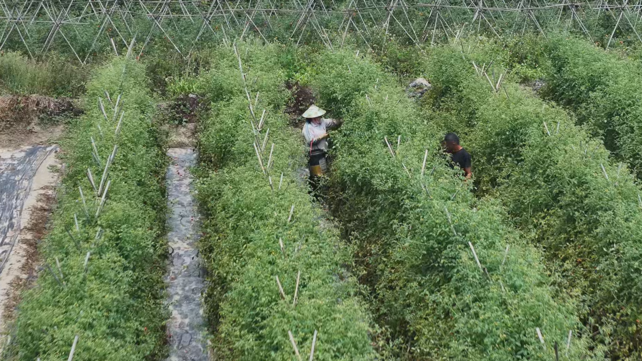 图片4.png 图片4.png