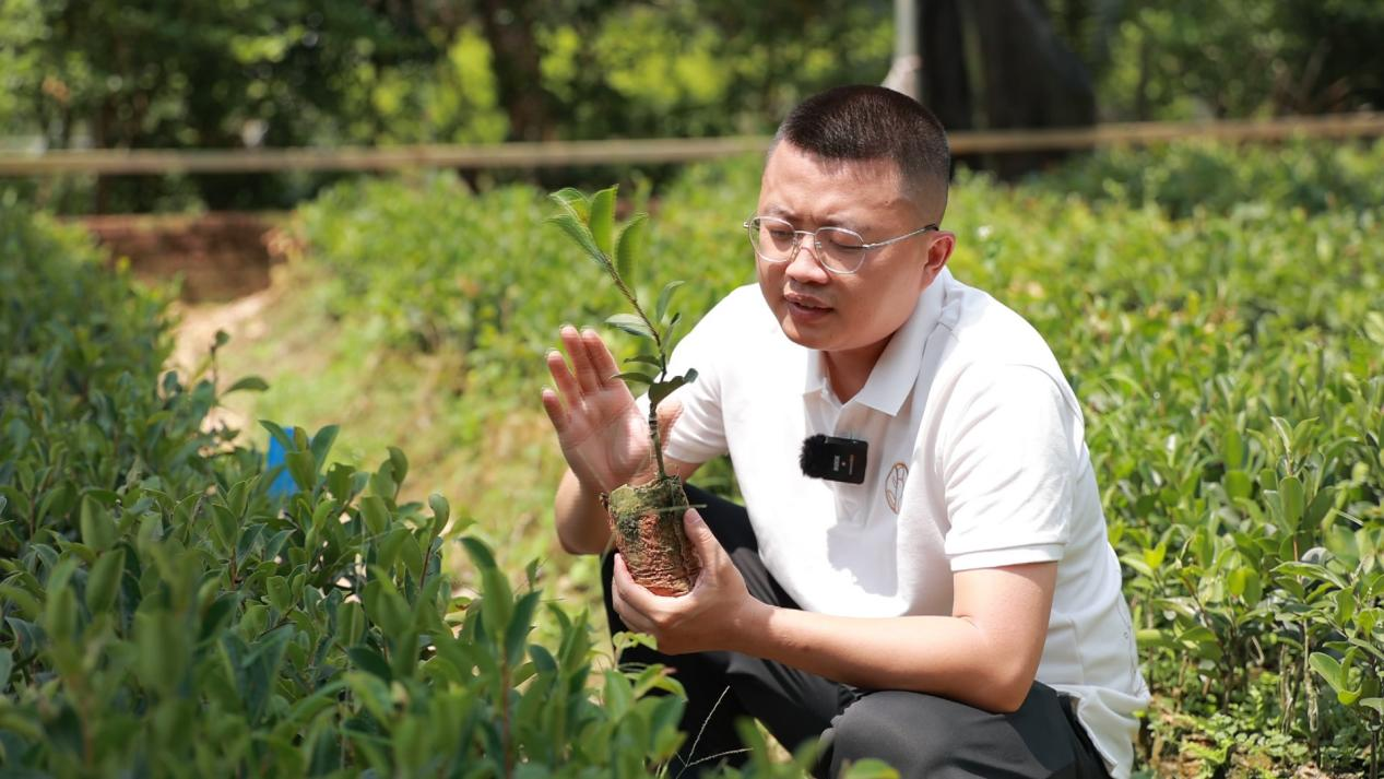 图片9.png 图片9.png